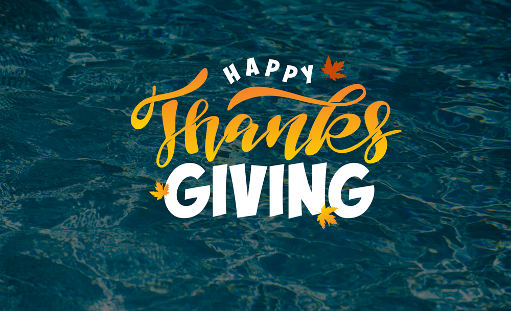 FINS Swim School Local Swim Lessons Since 2000 7 Locations